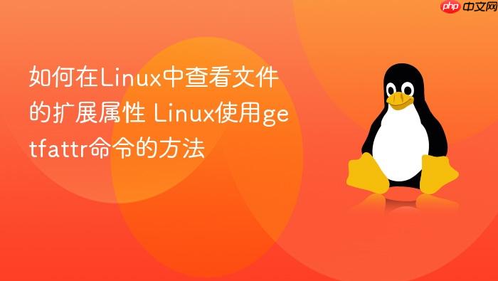 如何在linux中查看文件的扩展属性 linux使用getfattr命令的方法