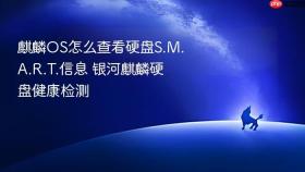 麒麟os怎么查看硬盘s.m.a.r.t.信息 银河麒麟硬盘健康检测