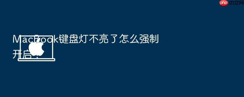 macbook键盘灯不亮了怎么强制开启?