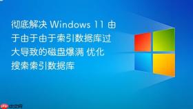 彻底解决 Windows 11 由于由于由于索引数据库过大导致的磁盘爆满 优化搜索索引数据库