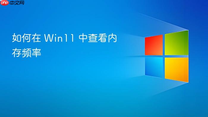 如何在 win11 中查看内存频率