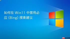 如何在 win11 中禁用必应 (bing) 搜索建议