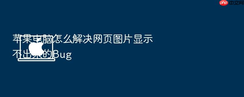 苹果电脑怎么解决网页图片显示不出来的bug