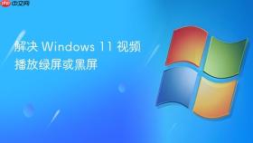 解决 windows 11 视频播放绿屏或黑屏