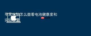 苹果电脑怎么查看电池健康度和实际容量