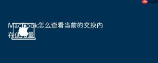 macbook怎么查看当前的交换内存使用量