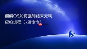 麒麟os如何强制结束无响应的进程(kill命令)