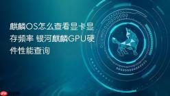 麒麟OS怎么查看显卡显存频率 银河麒麟GPU硬件性能查询