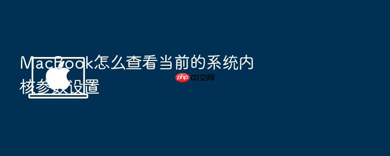 macbook怎么查看当前的系统内核参数设置