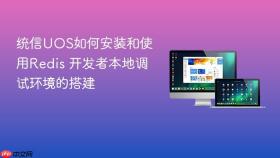 统信uos如何安装和使用redis 开发者本地调试环境的搭建