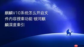 麒麟v10系统怎么开启文件内容搜索功能 银河麒麟深度索引