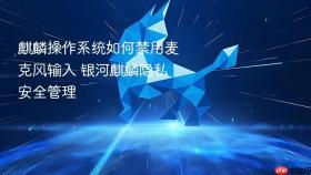 麒麟操作系统如何禁用麦克风输入 银河麒麟隐私安全管理