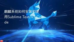 麒麟系统如何安装和使用Sublime Text/VS Code