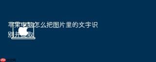苹果电脑怎么把图片里的文字识别并提取
