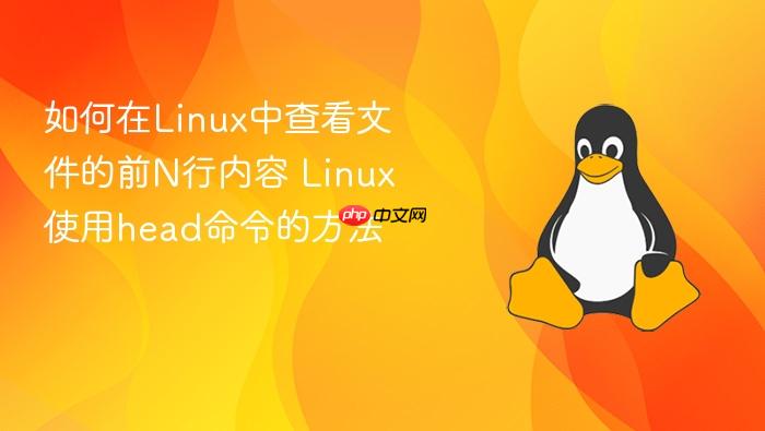 如何在linux中查看文件的前n行内容 linux使用head命令的方法