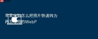 苹果电脑怎么把照片快速转为网页专用的webp