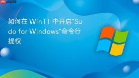 如何在 Win11 中开启“Sudo for Windows”命令行提权