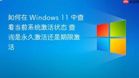如何在 windows 11 中查看当前系统激活状态 查询是永久激活还是期限激活