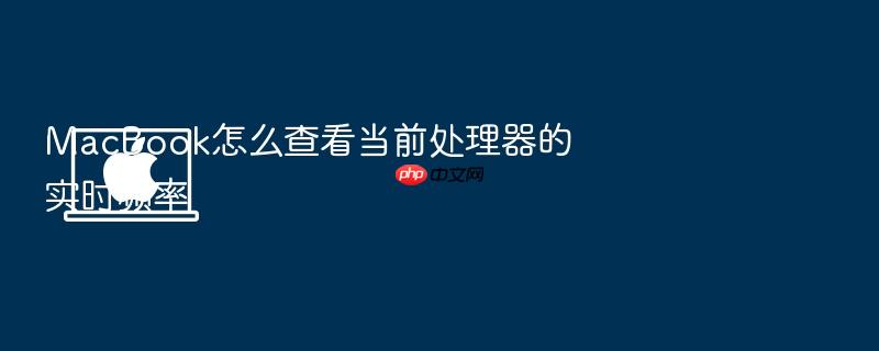 macbook怎么查看当前处理器的实时频率