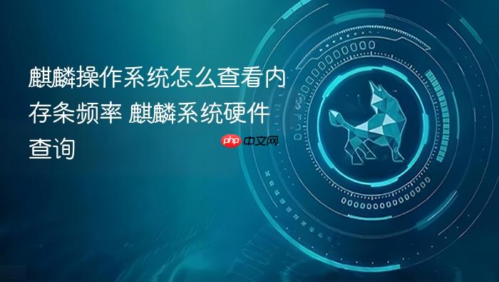 麒麟操作系统怎么查看内存条频率 麒麟系统硬件查询