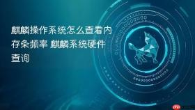 麒麟操作系统怎么查看内存条频率 麒麟系统硬件查询