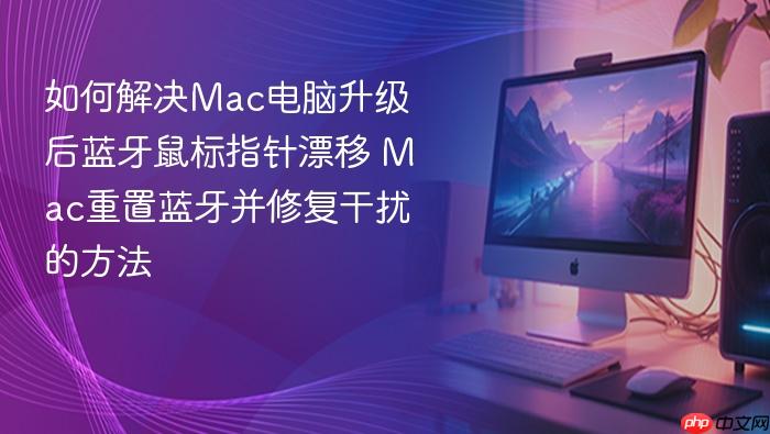 如何解决mac电脑升级后蓝牙鼠标指针漂移 mac重置蓝牙并修复干扰的方法