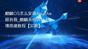 麒麟os怎么安装apache服务器_麒麟系统web环境搭建教程【实测】