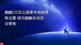 麒麟OS怎么查看本地组策略设置 银河麒麟系统安全策略