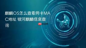 麒麟OS怎么查看网卡MAC地址 银河麒麟信息查询