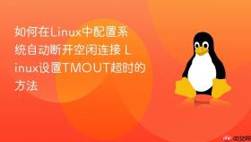 如何在Linux中配置系统自动断开空闲连接 Linux设置TMOUT超时的方法