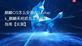 麒麟OS怎么安装Wireshark_麒麟系统抓包工具安装指南【实测】
