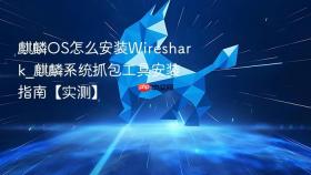 麒麟os怎么安装wireshark_麒麟系统抓包工具安装指南【实测】
