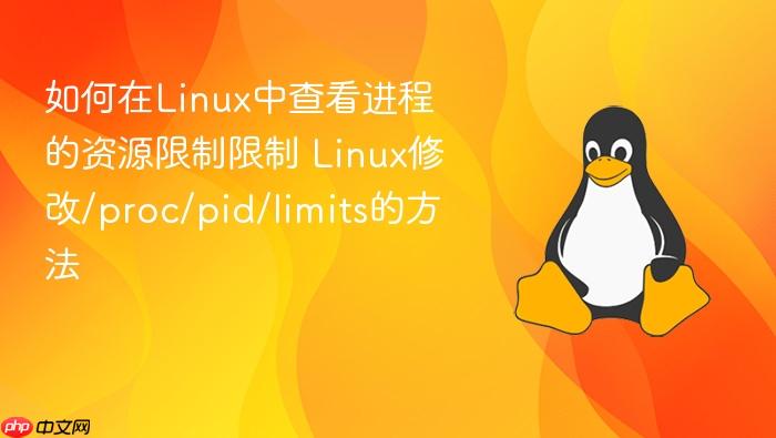 如何在linux中查看进程的资源限制限制 linux修改/proc/pid/limits的方法