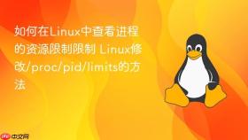 如何在linux中查看进程的资源限制限制 linux修改/proc/pid/limits的方法