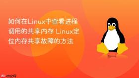 如何在linux中查看进程调用的共享内存 linux定位内存共享故障的方法