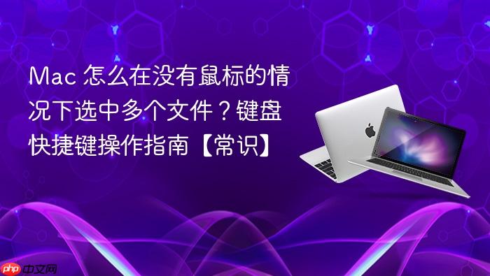 mac 怎么在没有鼠标的情况下选中多个文件?键盘快捷键操作指南【常识】
