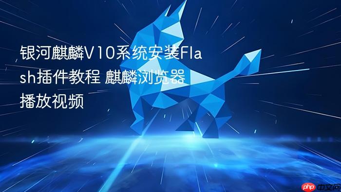 银河麒麟v10系统安装flash插件教程 麒麟浏览器播放视频