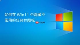 如何在 win11 中隐藏不常用的任务栏图标