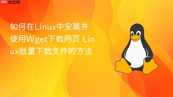 如何在linux中安装并使用wget下载网页 linux批量下载文件的方法