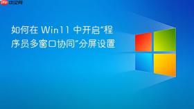 如何在 win11 中开启“程序员多窗口协同”分屏设置