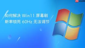 如何解决 Win11 屏幕刷新率锁死 60Hz 无法调节