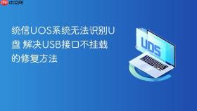 统信uos系统无法识别u盘 解决usb接口不挂载的修复方法