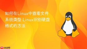 如何在linux中查看文件系统类型 linux识别硬盘格式的方法