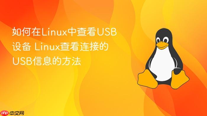如何在linux中查看usb设备 linux查看连接的usb信息的方法