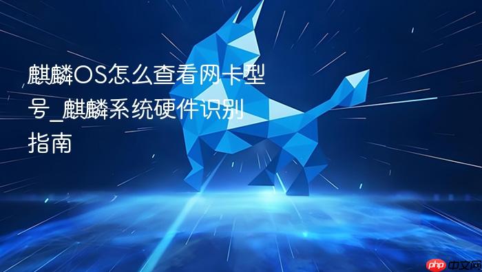 麒麟os怎么查看网卡型号_麒麟系统硬件识别指南