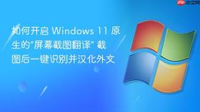 如何开启 windows 11 原生的“屏幕截图翻译” 截图后一键识别并汉化外文