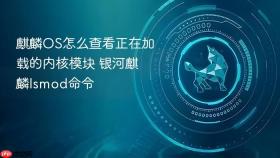 麒麟OS怎么查看正在加载的内核模块 银河麒麟lsmod命令