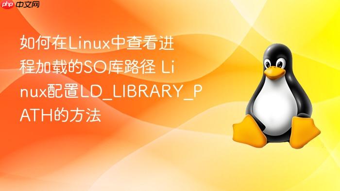 如何在linux中查看进程加载的so库路径 linux配置ld_library_path的方法