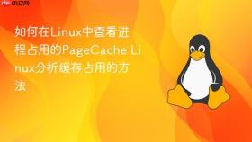 如何在Linux中查看进程占用的PageCache Linux分析缓存占用的方法