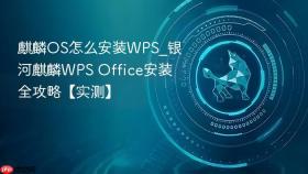麒麟OS怎么安装WPS_银河麒麟WPS Office安装全攻略【实测】